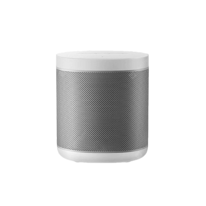 Xiaomi Wireless Speaker